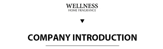 WELLNESS Private Label Hydrotherapy Relaxation Healing Tin With Lid Plant Essential Oil Soy Wax Massage Scented Candles Gift Set manufacture
