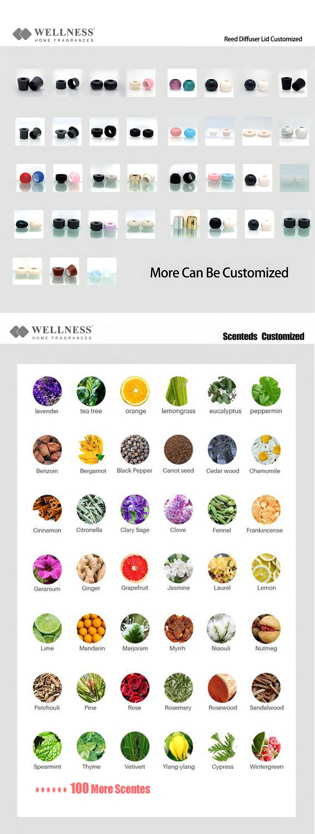 Wholesale Premium Blown Glass Reed Diffuser And Refill Aroma Essential Oils aromatherapy Home Decor Diffuser Gift Sets manufacture