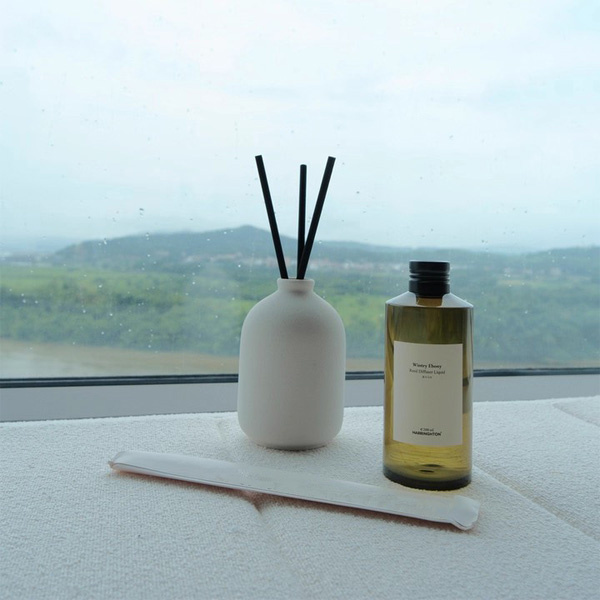 Transform your Living Space with Stylish Diffusers for Room