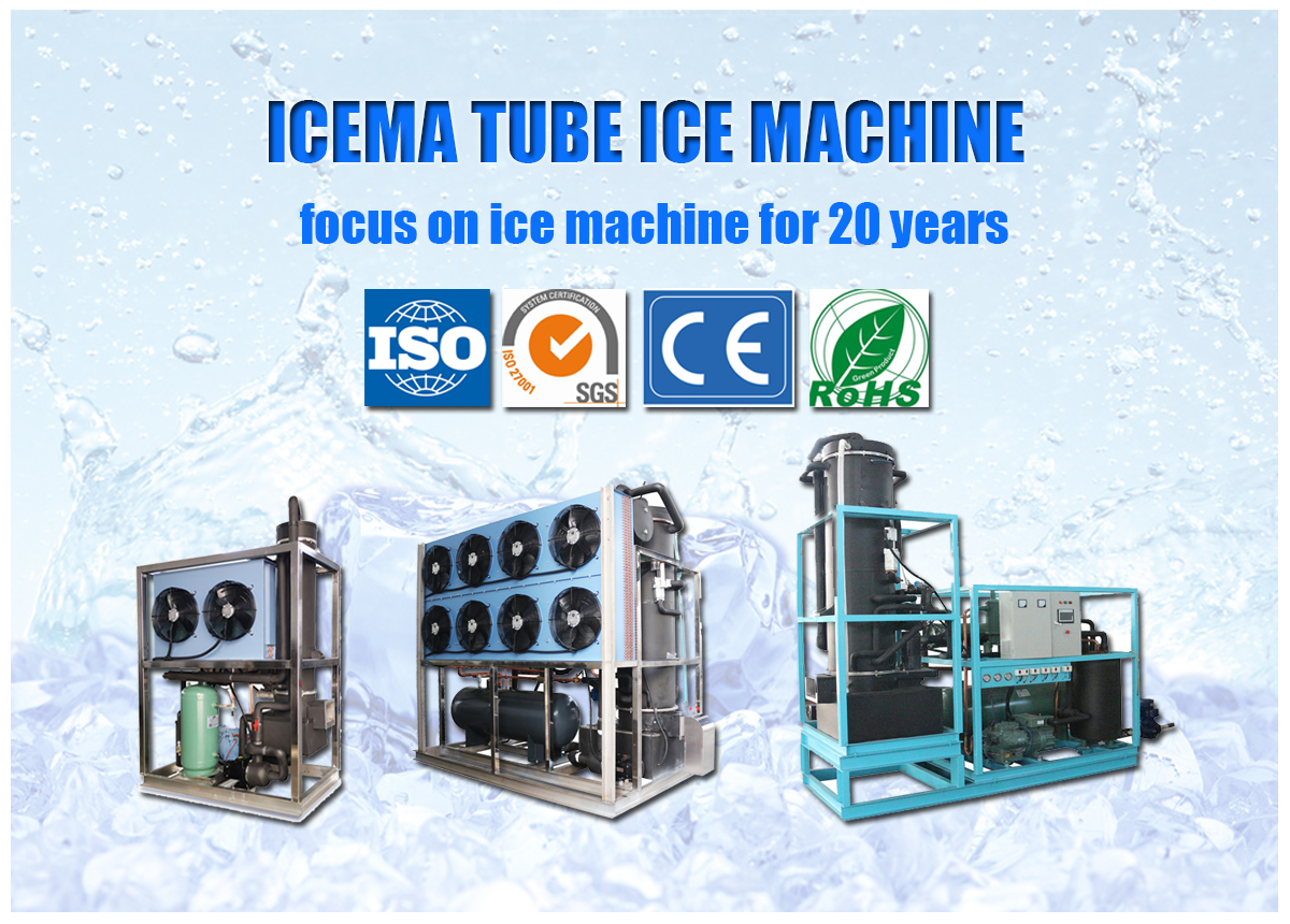 Europe Standard Tube Ice Making Machine supplier