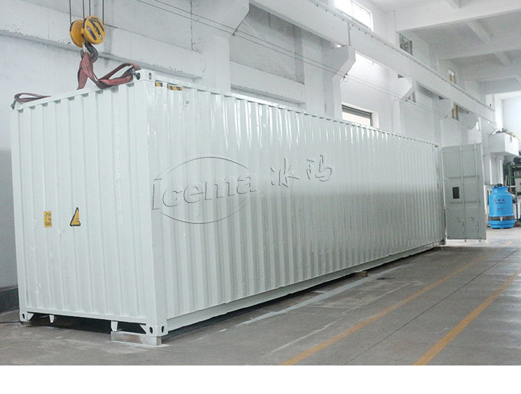 15 ton Container Block Ice Machine details