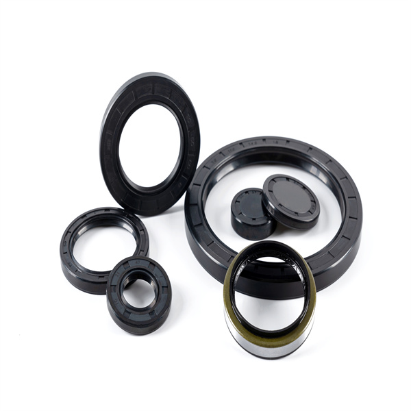 Where to Find High-Quality FKM Oil Seals at Competitive Wholesale Prices?