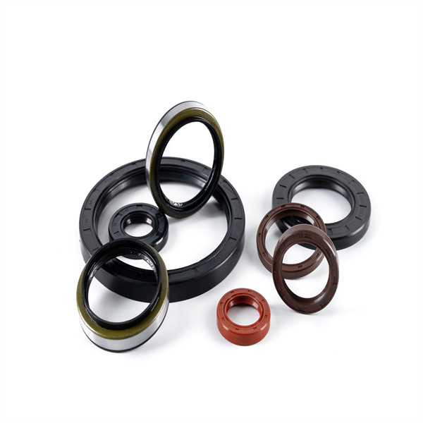 How FKM Oil Seals Enhance Durability in Harsh Environments?