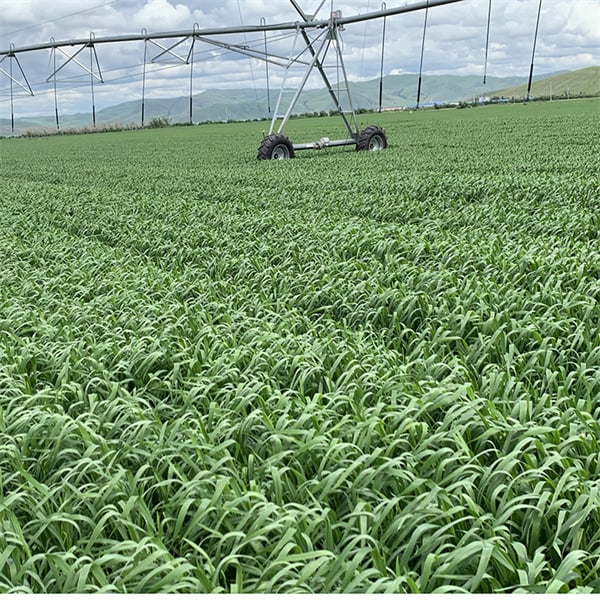 How to get the best deal on center pivot price?