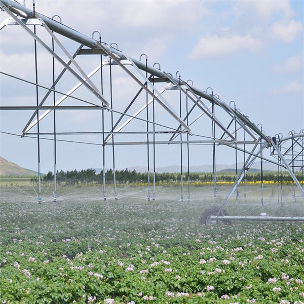 Precision watering technology for sustainable farming practices