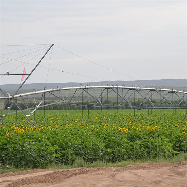 Enhancing sustainability on the farm through pivot irrigation