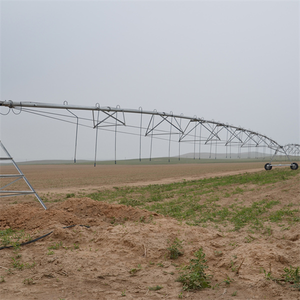 Harnessing technology for efficient crop production