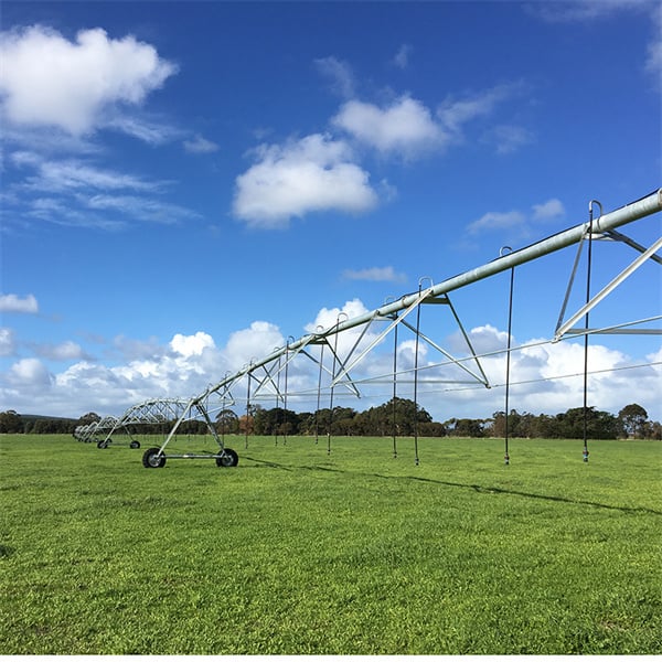 Sustainable practices for maximizing water usage in agriculture