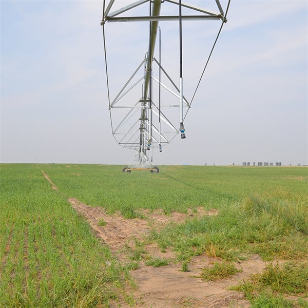 Maximizing Crop Yields with Central Pivot Irrigation