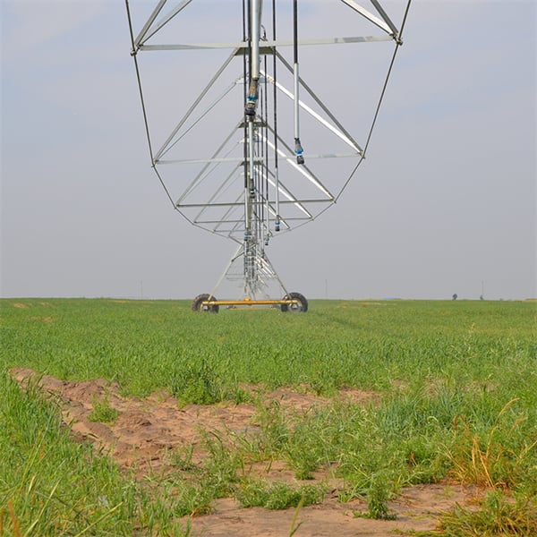 The Future of Sustainable Farming Practices