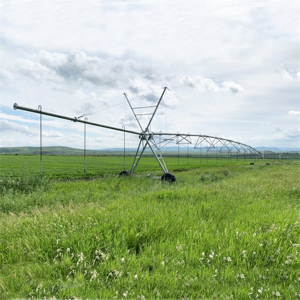 Invest in reliable irrigation equipment for your farm.