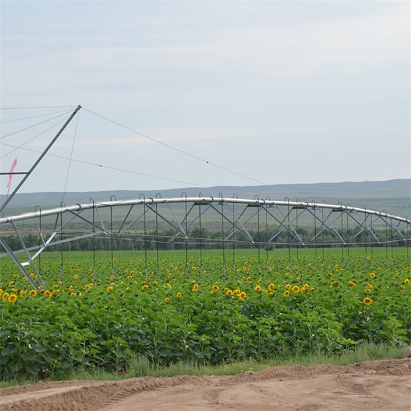 Enhancing Crop Growth with Pivot Point Systems
