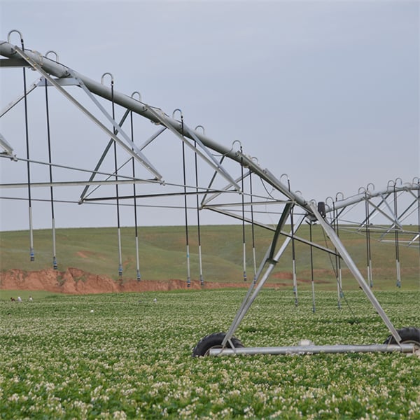 Examining the Return on Investment of Pivot Sprinkler Systems
