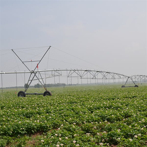 The Flexibility of Pivot Sprinkler Systems in Irrigating Various Crops
