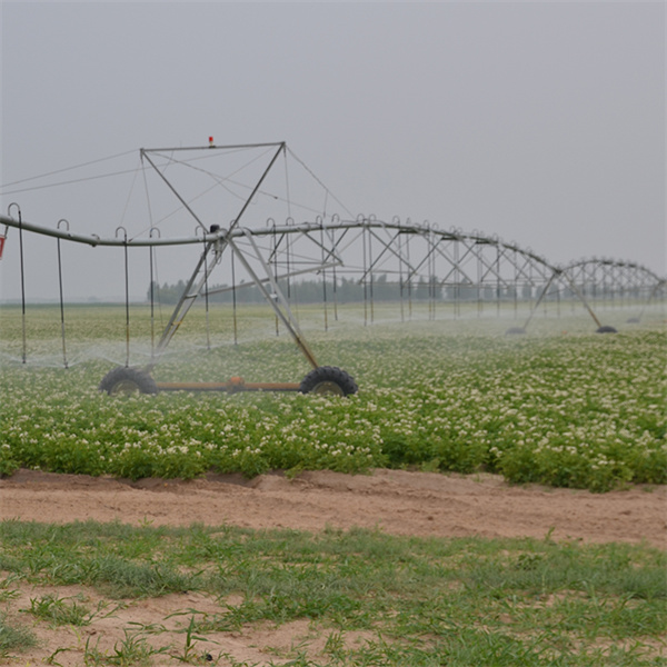 Revolutionizing farming methods for increased productivity