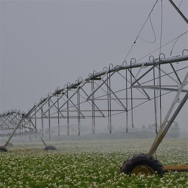 Sustainable farming practices with Valley center pivot irrigation