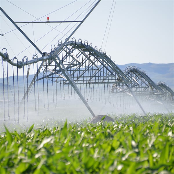Water conservation benefits of central pivot irrigation.