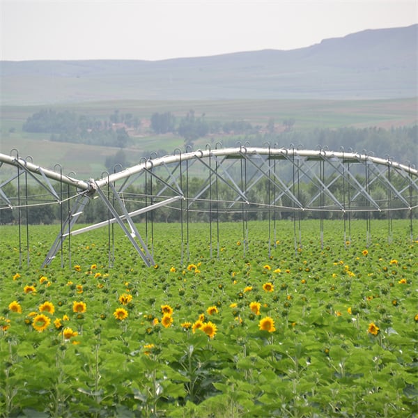Improving soil health and crop quality with pivot irrigation