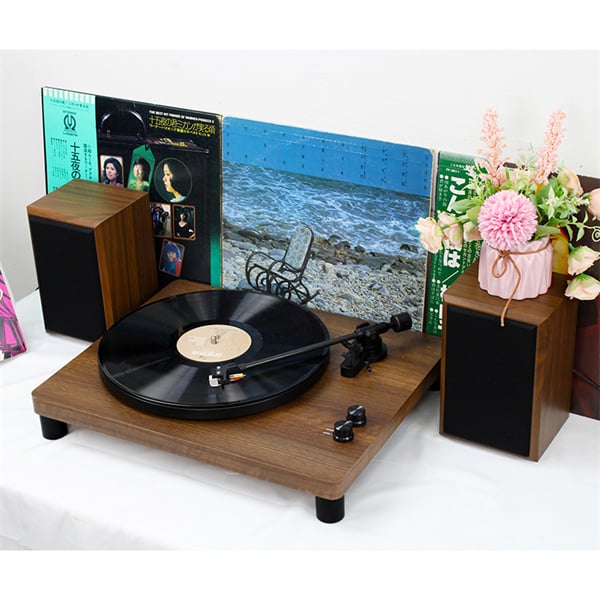 Elevate Your Listening Experience with a Sleek Vinyl Player