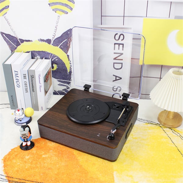 The art of collecting and caring for vinyl records