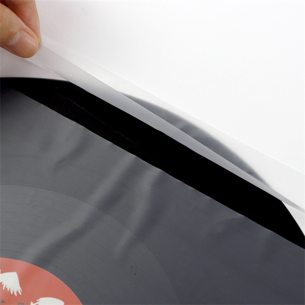 Un incontournable pour maintenir la qualité de votre collection de vinyles