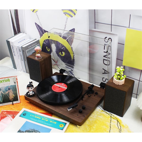Bring Vintage Vibes into Your Home with a Stylish Vinyl Disk Player