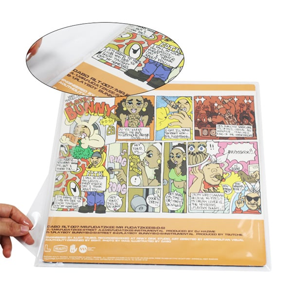 Préservez vos disques vinyle rares et précieux avec nos pochettes protectrices premium