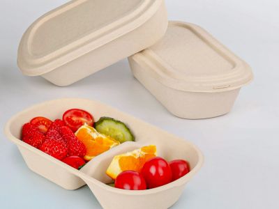 Why Bento Boxes Are the Best for Portion Control and Variety