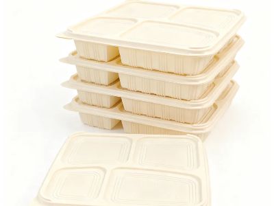 Disposable vs. Reusable Lunch Boxes: A B2B Cost Analysis