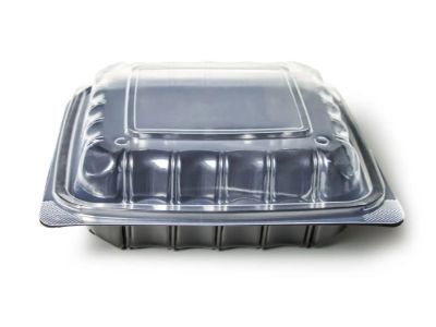 Eco-Friendly and Durable: Why PP Lunch Boxes Are a Smart Choice