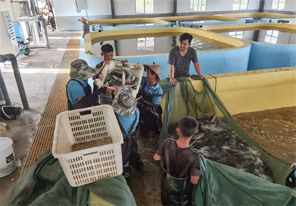 About eWater Aquaculture Equipment Technology Limited
