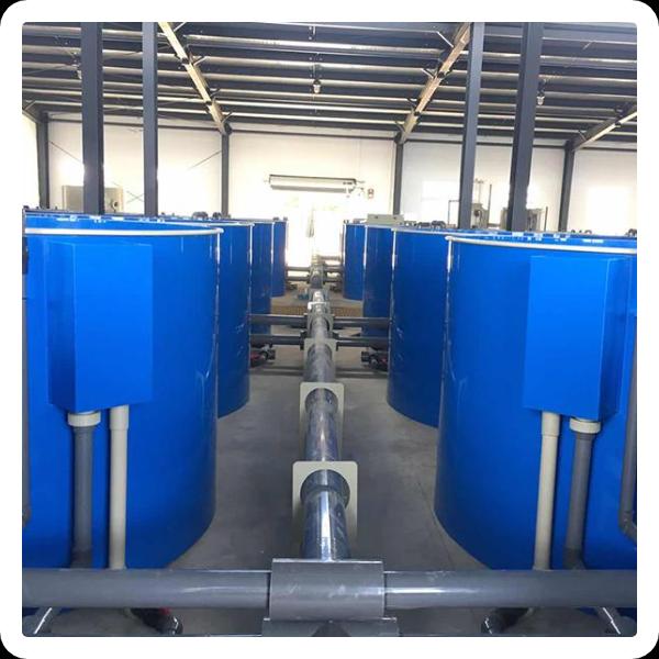 Why Should You Have a Biological Filter System