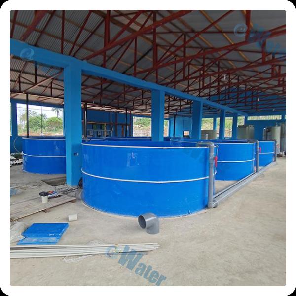Meeting global demand for fish with aquaculture technology