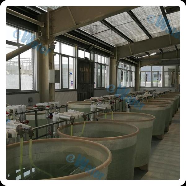 Applications of Aquaculture Water Systems