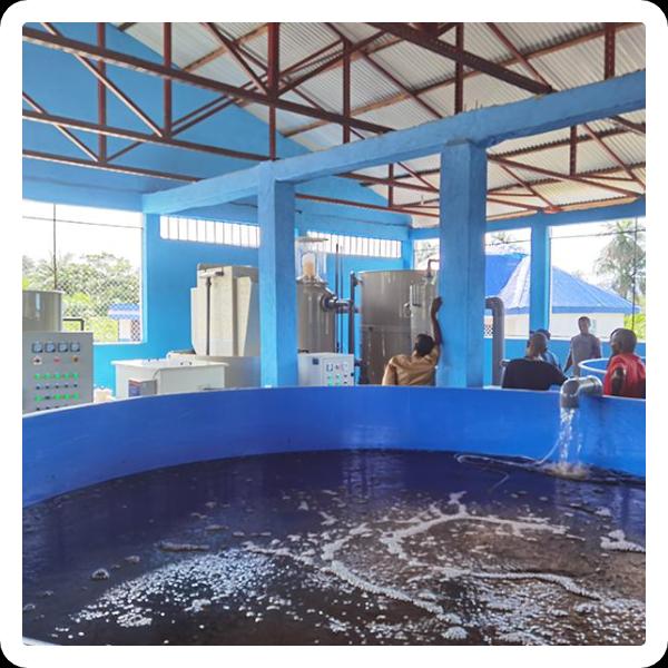 Advantages of Saltwater Filters with Protein Skimmer