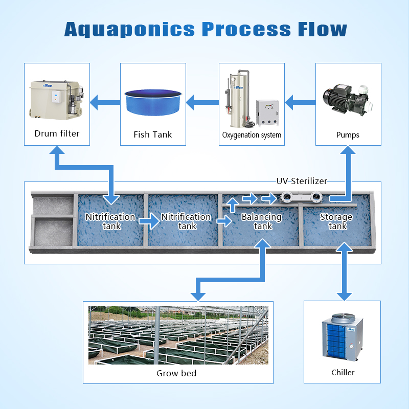 Aquaponics System supplier
