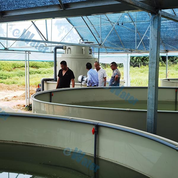 Choosing the Right Fish Hatchery Machine: a detailed guide