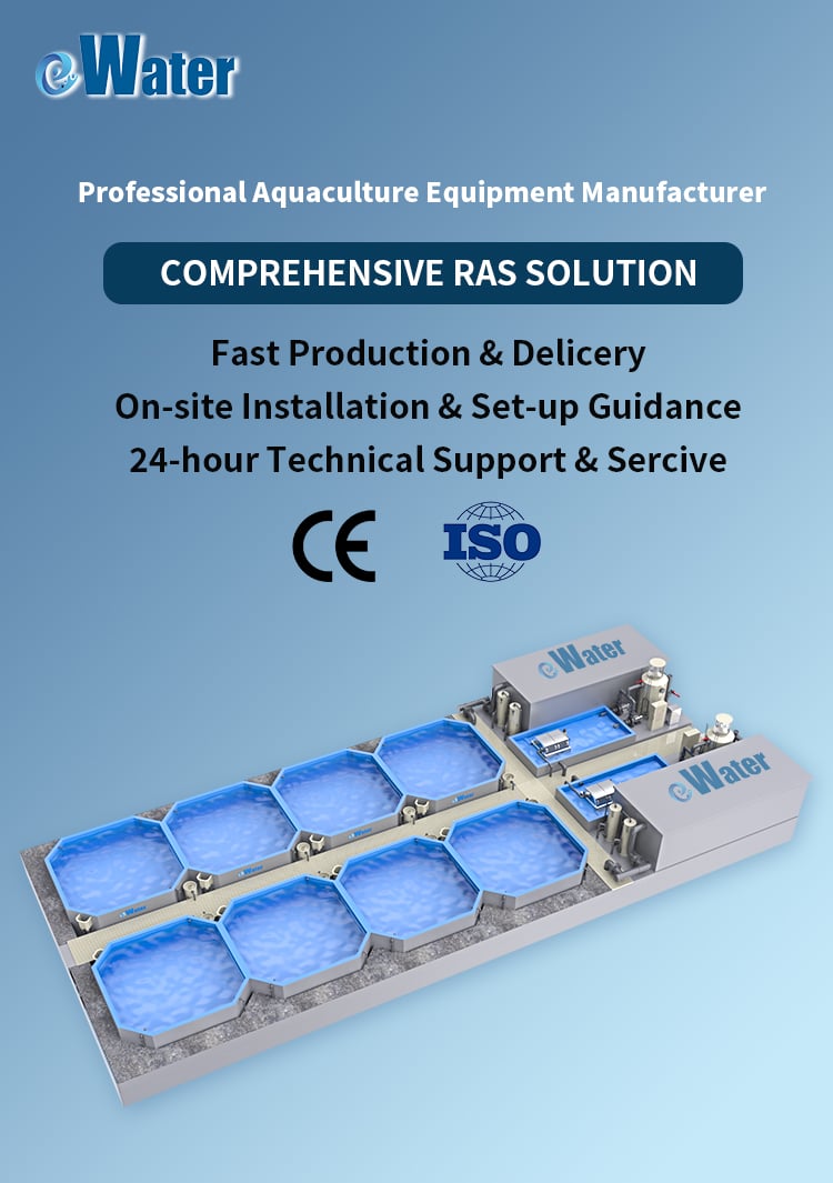 Intensive RAS Fish Farming For Land-based Pond Fish Farm supplier