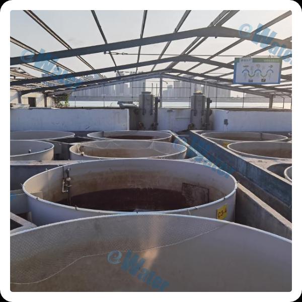 Transforming Aquaculture Operations With Yield-Obsessed Tools.JpaRepository