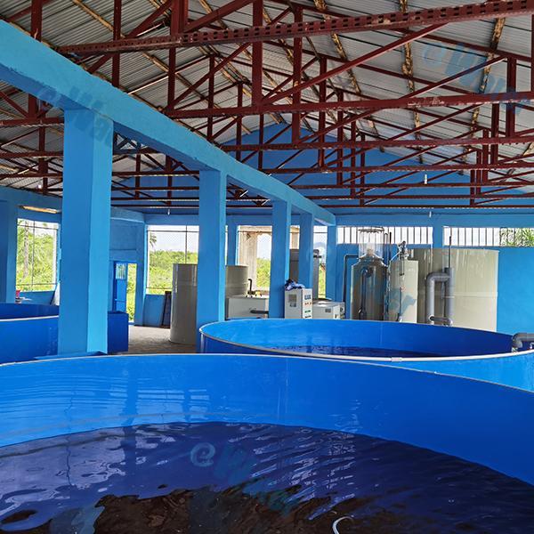 Maximizing Water Quality in Aquaculture Systems