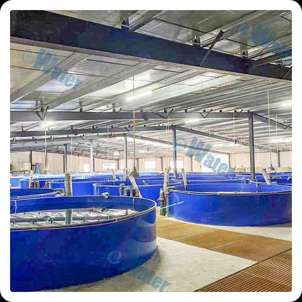 Best Practices for Maintaining Indoor RAS