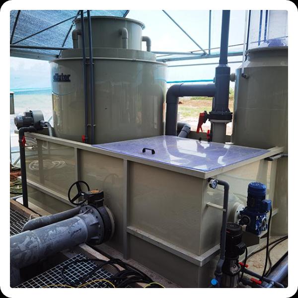 Ensuring optimal conditions for fish growth with specialized equipmen