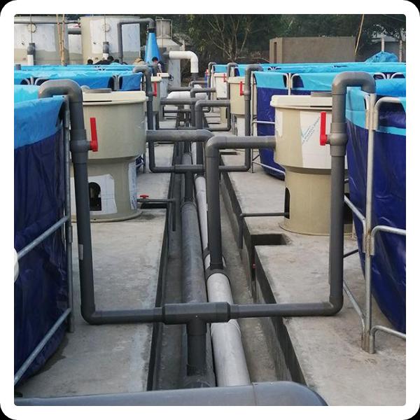 Creating and Feeding Fish: New Machinery for Aquaculture