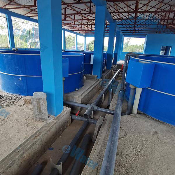 How RAS Filtration Systems Improve Fish Farming