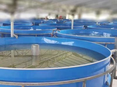 Les systèmes aquacoles commerciaux permettent des récoltes prévisibles tout au long de l’année