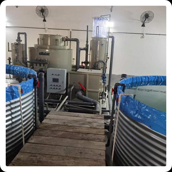 Health Care Using Drum Filter Ras in Fishlevificance