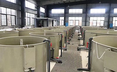 Intensive Fish Growing Aquaculture Systems factory
