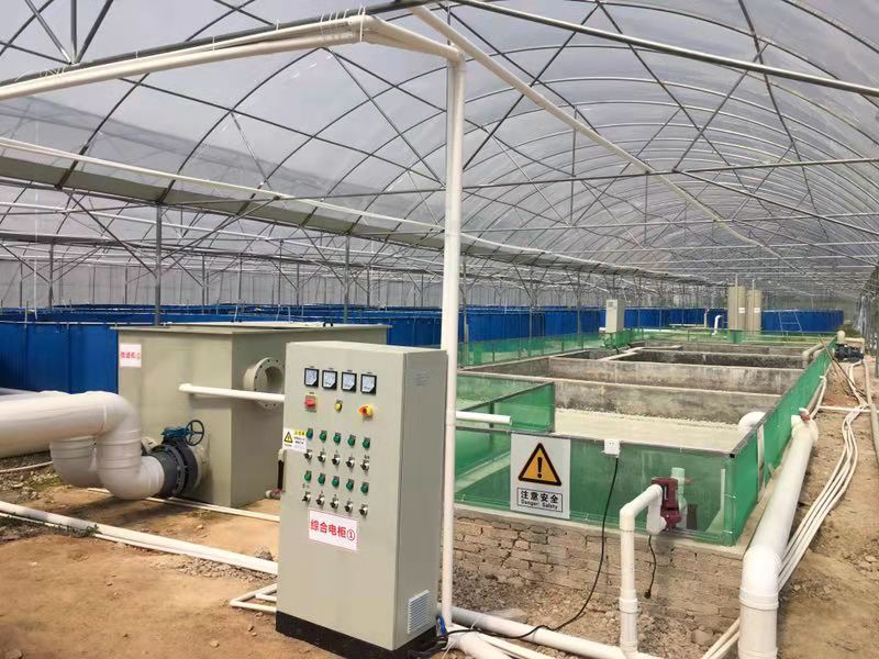Aquaponics System details