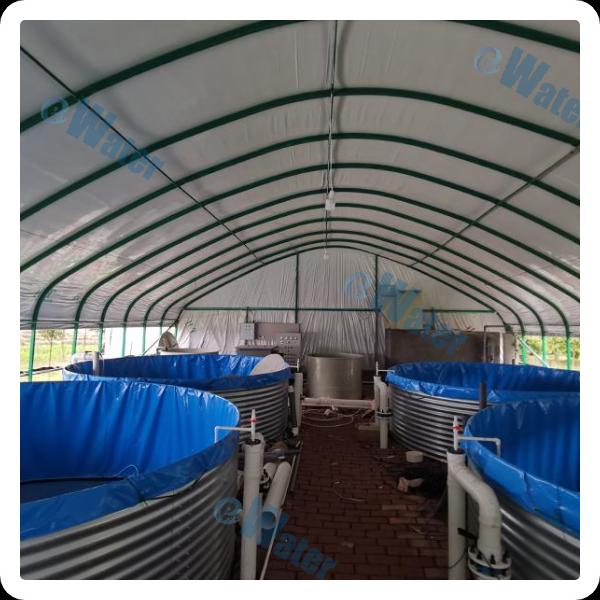 Key Equipment for Optimal Growth and Health in Aquaculture Fish from the Nutritional Perspective