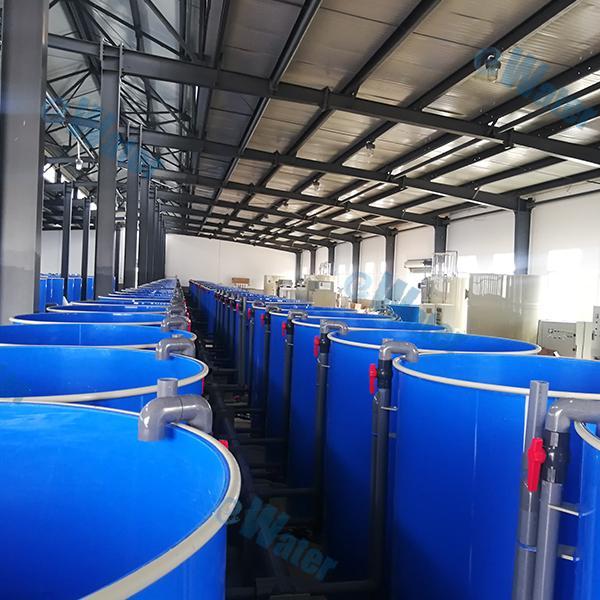 Variety of Fish Pond Skimmers